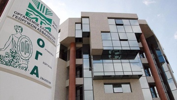 Σε απόγνωση Ροδίτισσα που ψάχνει εναγωνίως εκπροσώπους του... ΟΓΑ