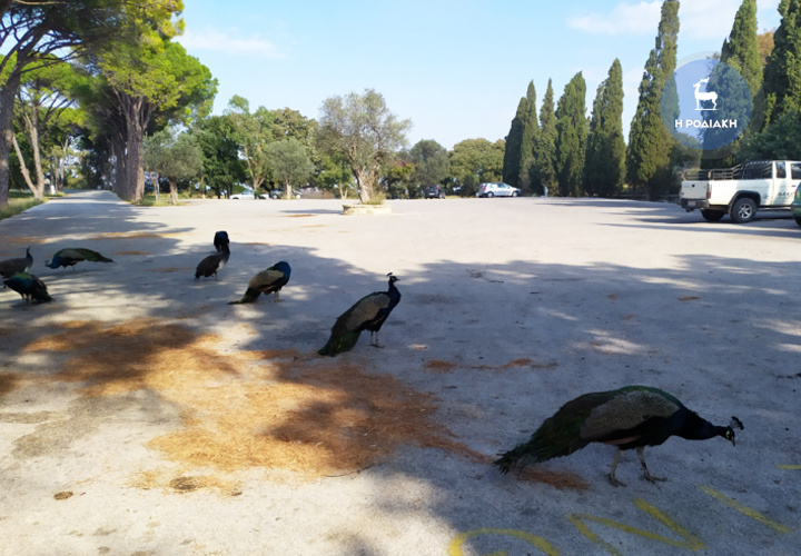 Ο σημερινός χώρος στάθμευσης που θα διαμορφωθεί κατάλληλα