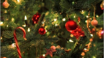 Η Καρπαθιά Φωτεινή Περδικολόγου 101 ετών άναψε  διαδικτυακά το χριστουγεννιάτικο δέντρο της Κηφισιάς 