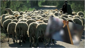 Βοσκός στην Κάρπαθο κατηγορείται ότι δάγκωσε δύο αδέλφια
