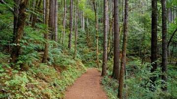 Μ. Κόνσολας: "Ας μην υποτιμούμε το πρόβλημα με τους δασικούς χάρτες, κινδυνεύουν να χαθούν περιουσίες στα Δωδεκάνησα"