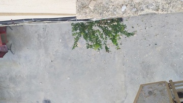 «Βρέχει» σοβάδες περιμετρικά του Κτηματολογίου της Ρόδου
