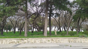 Στ. Δράκος: Σε προτεραιότητα για τον δήμο η ανάπλαση του πάρκου της οδού Βύρωνος