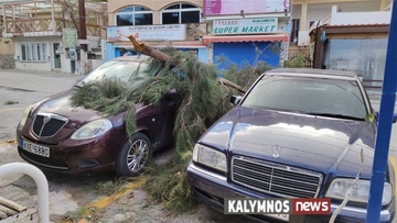 Μεγάλος κλώνος έπεσε πάνω σε δύο σταθμευμένα οχήματα στην Κάλυμνο