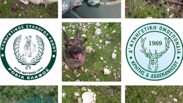 Συνελήφθη κτηνοτρόφος που «έσπειρε» δηλητήρια  στην περιοχή Αφάντου