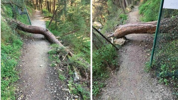 Η κατάσταση στο πάρκο του Ροδινιού