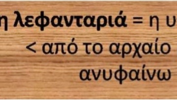 Ροδίτικο γλωσσάρι: Λέξεις με αρχαιοελληνική προέλευση (41)