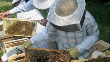 Σεμινάριο μελισσοκομίας στη Ρόδο