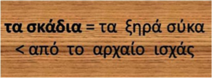 Δια χειρός Αλέξανδρου Κατσαρά