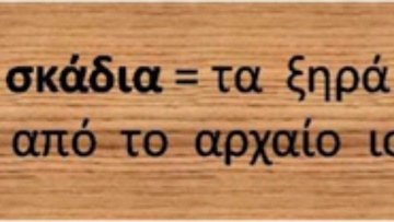 Ροδίτικο γλωσσάρι: Λέξεις με αρχαιοελληνική προέλευση (49)