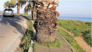 Το έργο της περίφραξης  στην Ακρόπολη της Ρόδου  