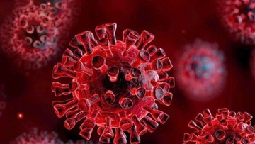 Δύο μεταλλάξεις του κορωνοϊού στη Ρόδο