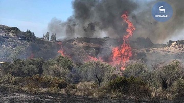 Σε εξέλιξη η προανάκριση  για τη φωτιά στο Φαληράκι