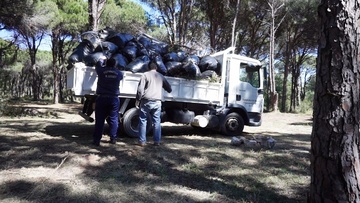 Δώδεκα φορτηγά με σκουπίδια από το άλσος της Καλλιθέας