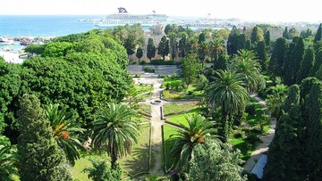 Κολλάνε τα δέντρα… κορωνοϊό;