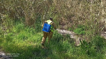Ψεκασμοί για τα κουνούπια στ’ Απόλλωνα