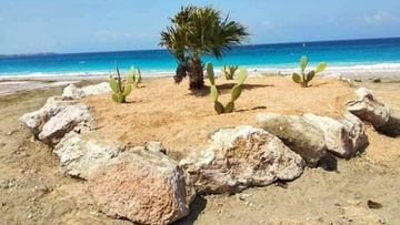 Σε ποιες περιοχές της Ρόδου κλάδεψε, καθάρισε και φύτεψε τον Μάρτιο η υπηρεσία Πρασίνου