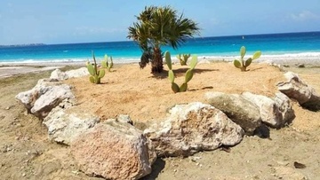 Που πραγματοποιήθηκαν εργασίες από την Υπηρεσία Πρασίνου για τον μήνα Μάρτιο