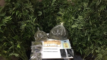 Θα παραμείνει στη φυλακή 62χρονος για τα επτά κιλά χασίς