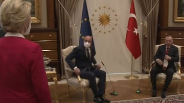 Γάτες Αγκύρας...