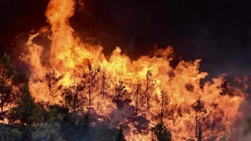 Συνεδριάζει το συντονιστικό όργανο για αντιμετώπιση των δασικών πυρκαγιών