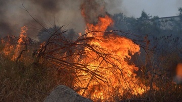Συνεδριάζει το συντονιστικό για τις δασικές πυρκαγιές