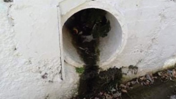 Απαράδεκτες καταστάσεις στην Πυλώνα