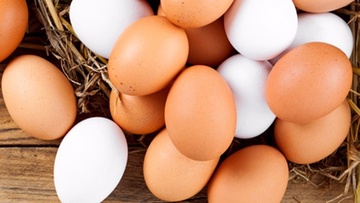 Ασφαλής χειρισμός των αυγών  και των προϊόντων αυγού
