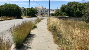 Υπάρχει ακόμα πολλή δουλειά για τις αποψιλώσεις