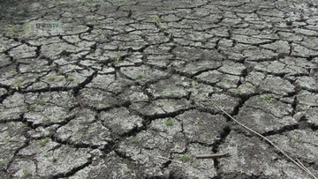 Β. Υψηλάντης: Ζημιές στην αγροτική παραγωγή από την ανομβρία στην Περιφέρεια Νοτίου Αιγαίου