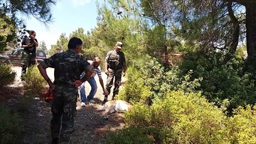 Στο φυσικό του περιβάλλον επέστρεψε  το μοναχικό ελαφάκι του Ροδινιού 
