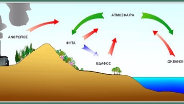 Εμείς και ο κύκλος του άνθρακα