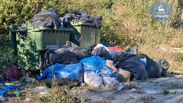 Ανοιχτή επιστολή στον δήμαρχο Ρόδου για τα σκουπίδια απέστειλε ο Κ. Σαρρής