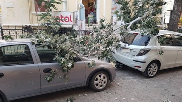 Πτώση κλαδιών στην πόλη της Ρόδου - Ευτυχώς δεν υπήρξαν τραυματισμοί