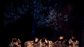 Έκτακτη παράσταση χορού: «I was sleeping under a jasmine tree» από την Artius Dance Theatre αύριο στο «Ρόδον»