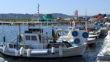 Συνεχίζονται οι αποζημιώσεις, λόγω Covid-19, από το επιχειρησιακό πρόγραμμα αλιείας