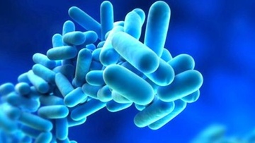 Oι εξετάσεις για λεγεονέλλα που έγιναν στην περιοχή μας