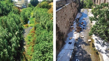 Σοβαρό πρόβλημα με  τα κουνούπια καταγγέλλουν οι κάτοικοι του Ροδινιού