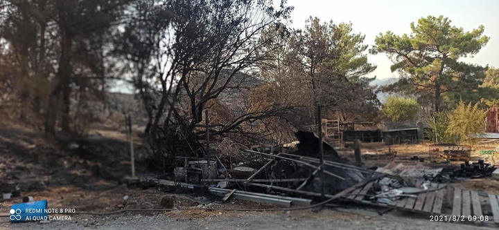 ΦΩΤΟ: Δημήτρης Γρηγοριάδης