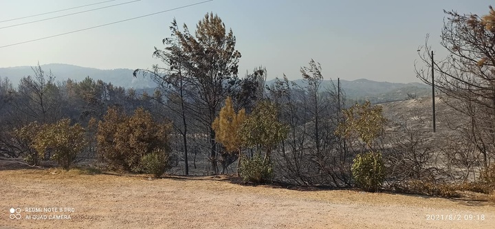 ΦΩΤΟ: Δημήτρης Γρηγοριάδης