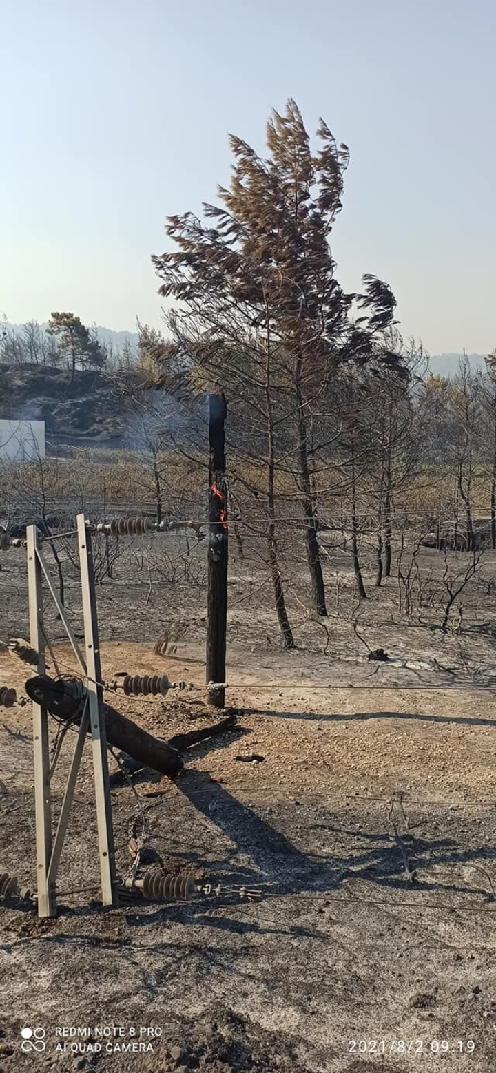 ΦΩΤΟ: Δημήτρης Γρηγοριάδης