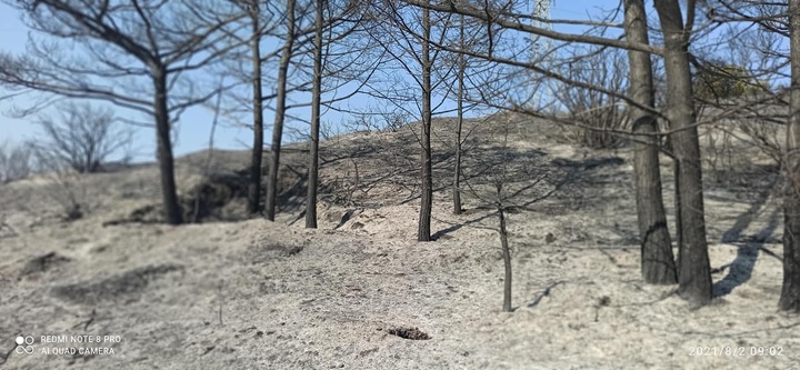 ΦΩΤΟ: Δημήτρης Γρηγοριάδης