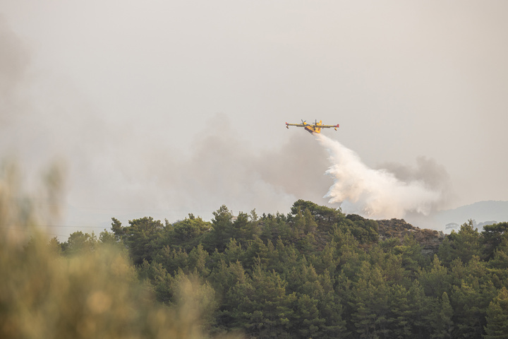 ΦΩΤΟ: Alexey Kulikov