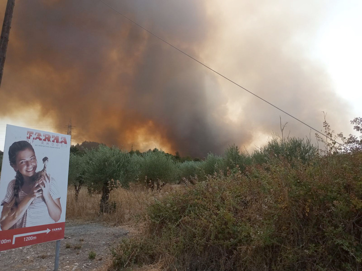 ΦΩΤΟ: Δημήτρης Γρηγοριάδης