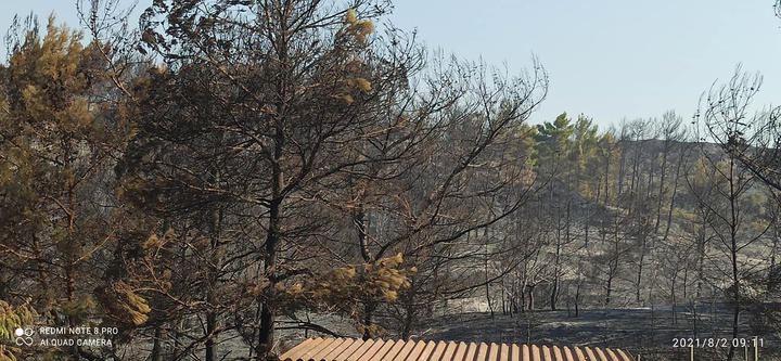 ΦΩΤΟ: Δημήτρης Γρηγοριάδης