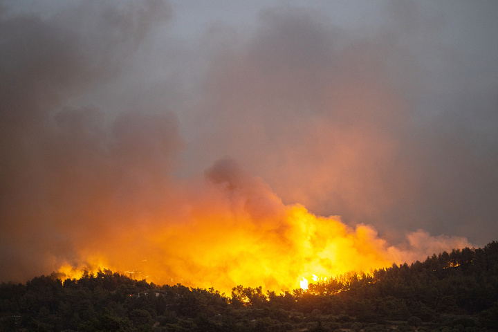 ΦΩΤΟ: Alexey Kulikov