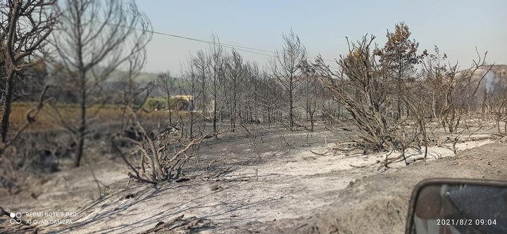 ΦΩΤΟ: Δημήτρης Γρηγοριάδης