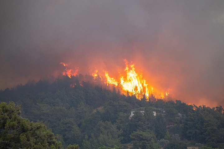 ΦΩΤΟ: Alexey Kulikov