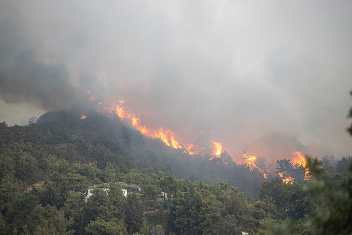 ΦΩΤΟ: Alexey Kulikov