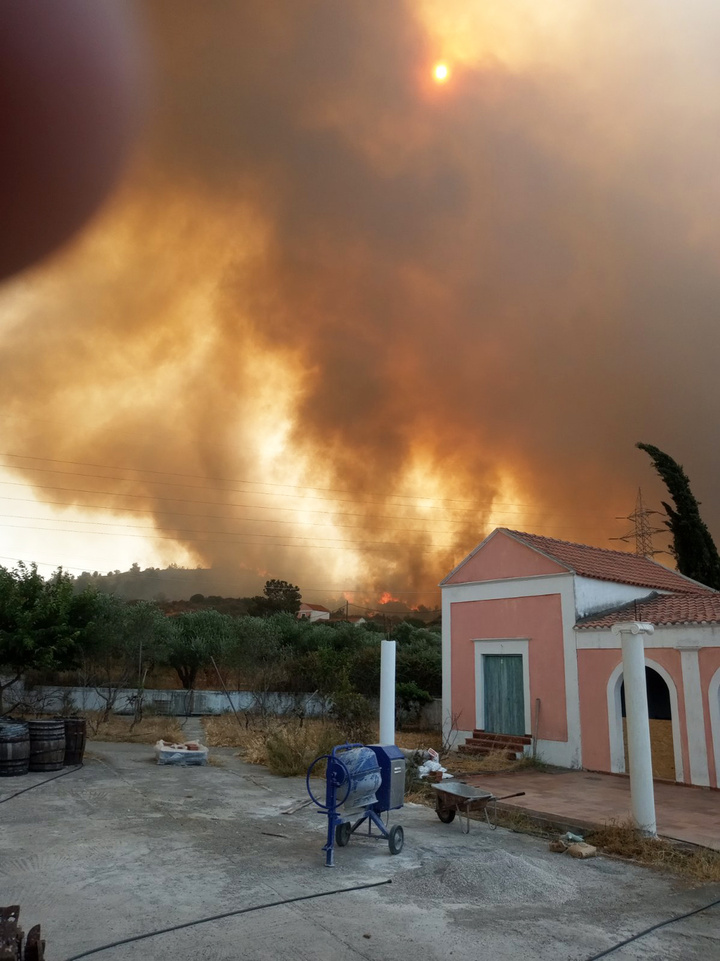 ΦΩΤΟ: Γιάννης Ντελάκης